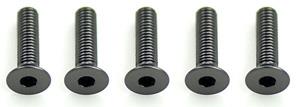 Alloy Csk Hex Screws M3 x 12 pk10