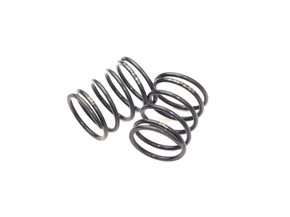 STEALTH LINE LEFTY SPRING TS2.55-2.85 (Short/2pcs)