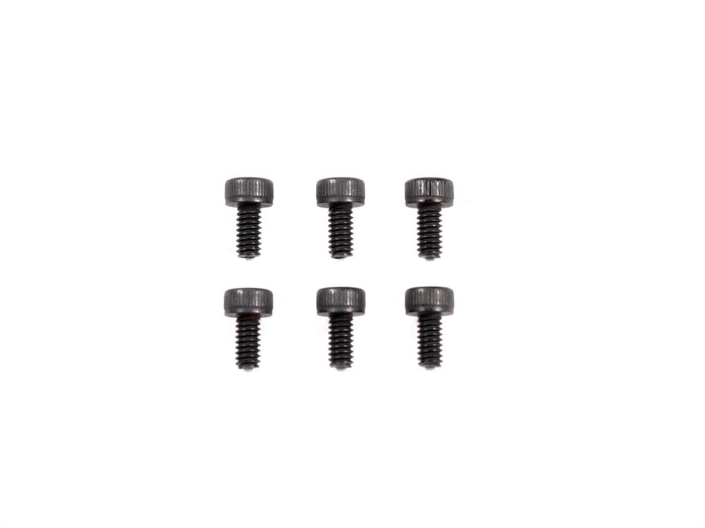 M2x4mm CAP HEAD SCREW (6pcs)