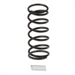 RC12R6 Shock Spring, white, 11.2 lb/in