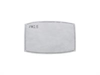 PM2.5 Filter For AM Safety Mask (10)