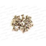 M3x6mm TITANIUM FLAT HEAD SCREW (30pcs)