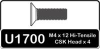 SPEED PACK-M4x12 Csk Hi Tensile (4)