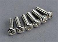 Screws M3x10mm Roundhead (6)*