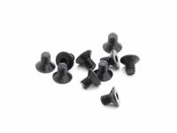 M2.5x4mm Flathead Screw, 10 pcs