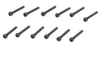 CAP HEAD SCREW M3x22mm (12pcs)