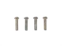 SLIM HEAD SCREW M3x14mm (SILVER/4pcs)